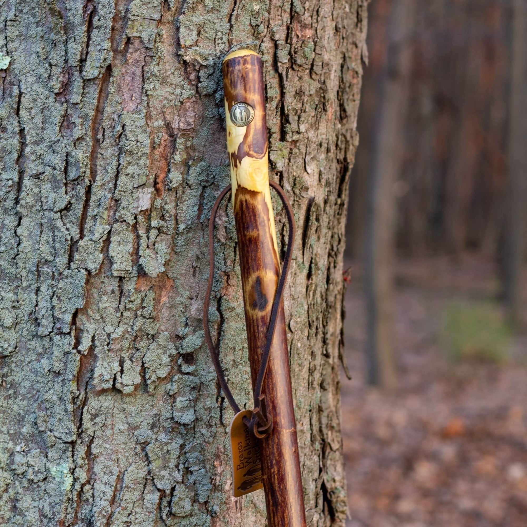Walking Stick Brazos™ Free Form Wood 55 Inch Height Hawthorn
